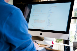 Software Developer C++