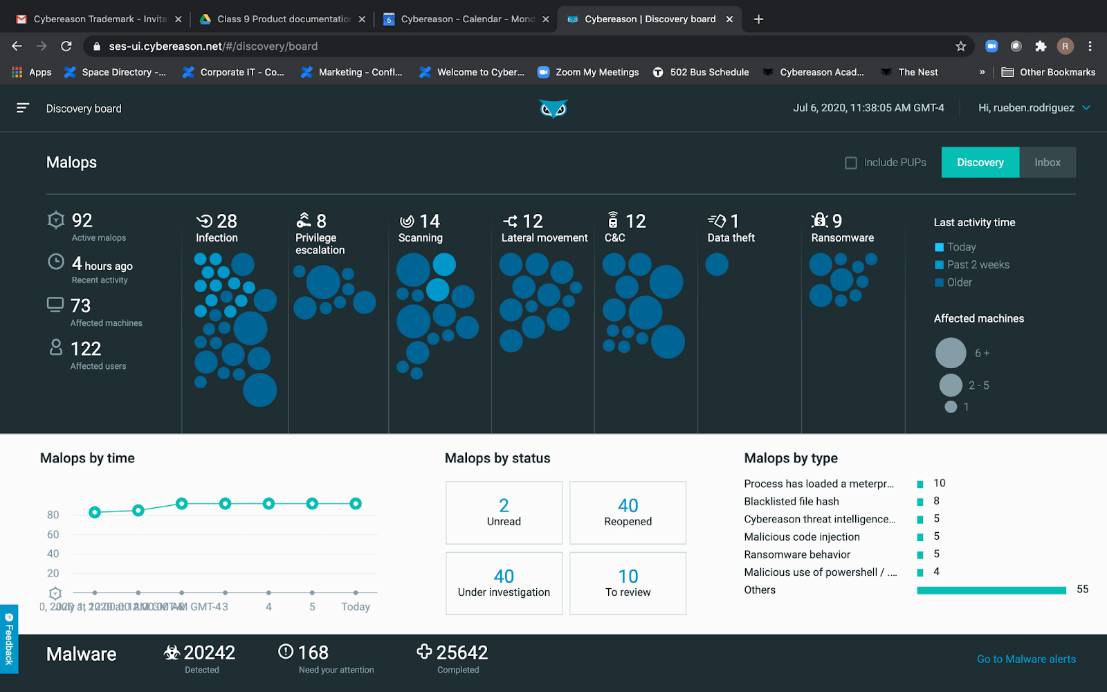 Screenshot des Discovery boards in Cybereason Endpoint Security