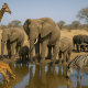 Watering Hole Attacks